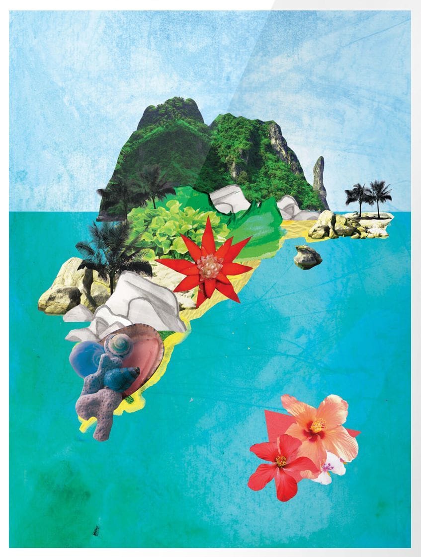 Artwork Title: Beach Tomato