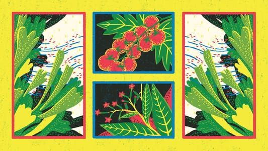 Artwork Title: Can Plants Talk to Each Other?​​​​​​​​​​​​​​