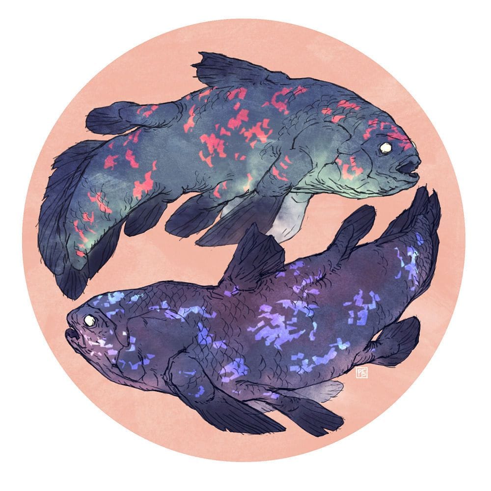 Artwork Title: Coelacanth