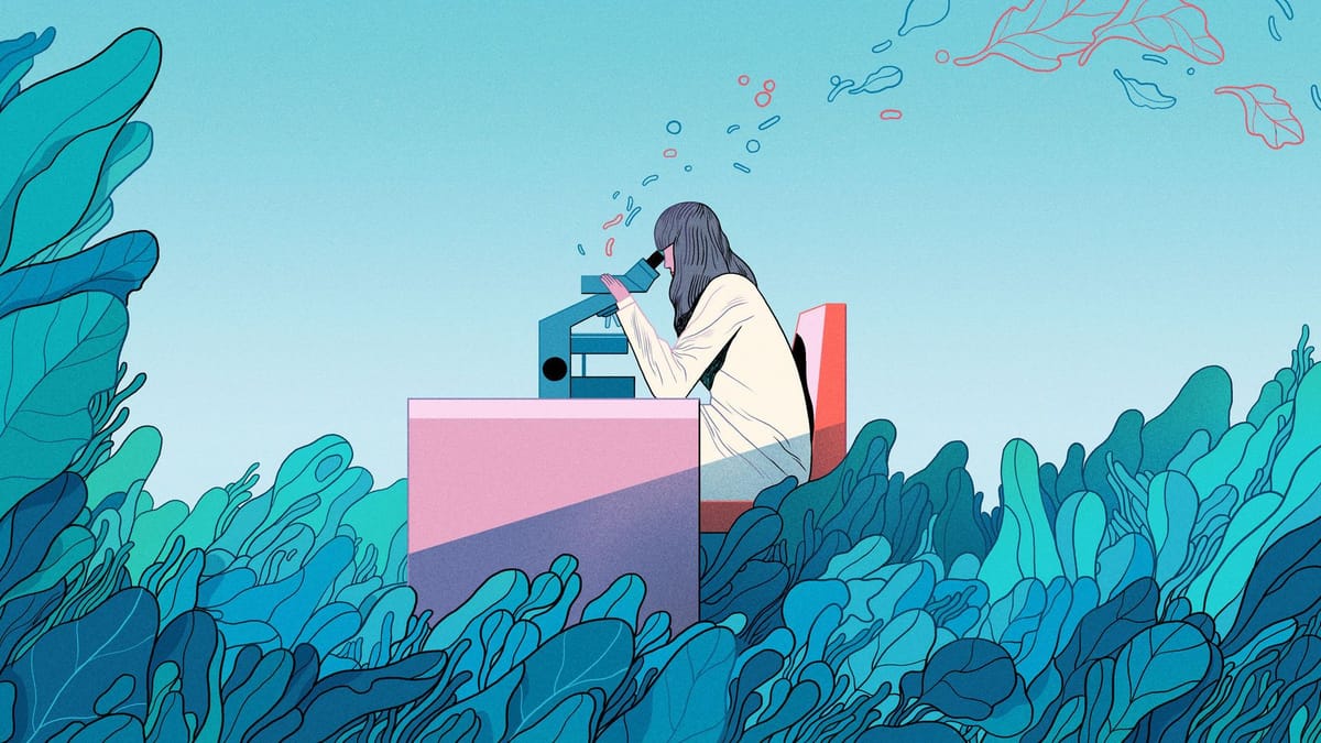 Artwork Title: Simple Bacteria Offer Clues to the Origins of Photosynthesis