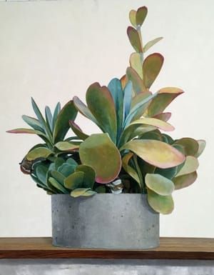 Artwork Title: Succulents