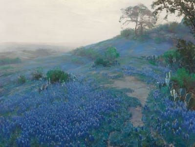 Artwork Title: Blue Bonnet Field, Early Morning