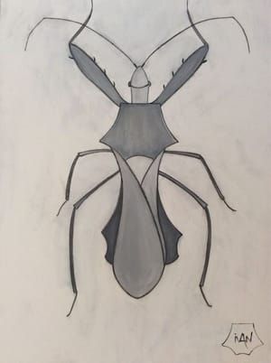Artwork Title: Insecte 1