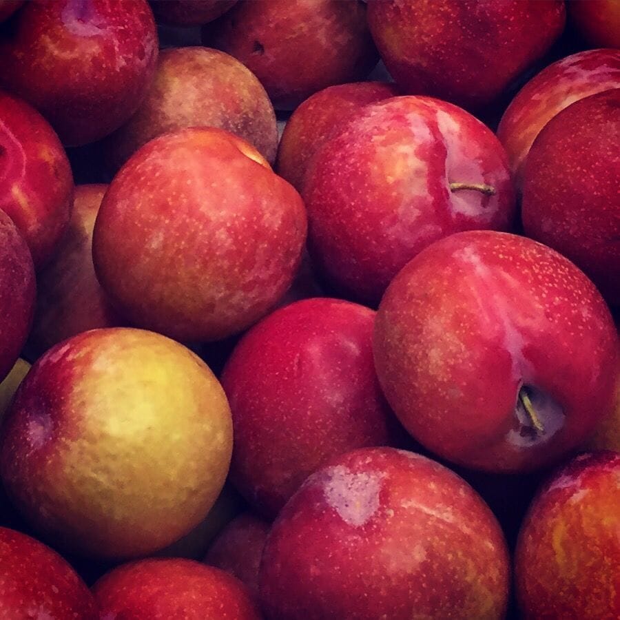 Artwork Title: undefined