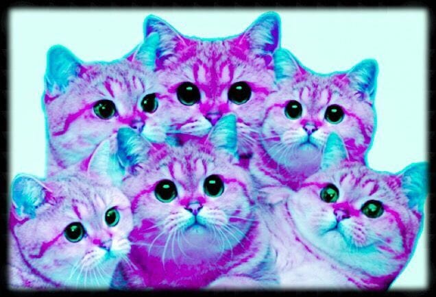 Artwork Title: undefined