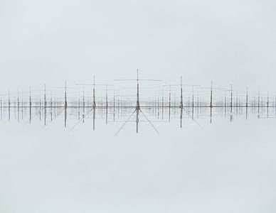 Artwork Title: Untitled