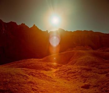 Artwork Title: Untitled