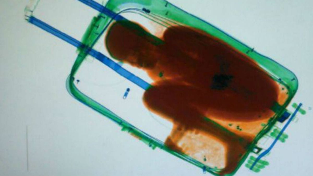 Artwork Title: Boy smuggled in suitcase