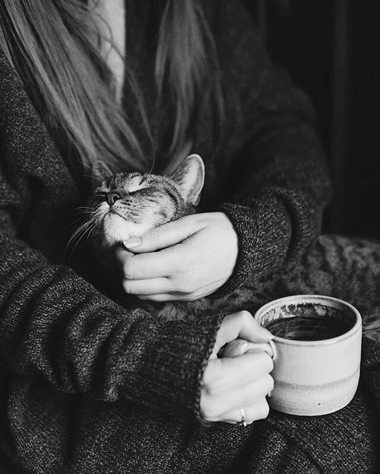 Artwork Title: undefined