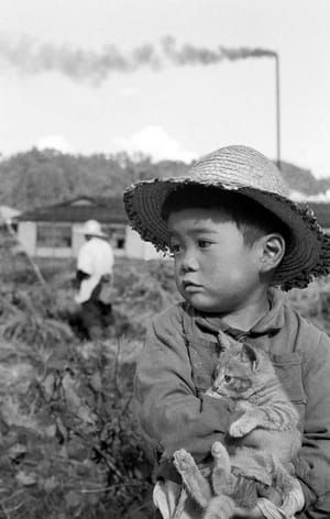 Artwork Title: Boy with Straw Hat and Kitten - Japan - October 1956