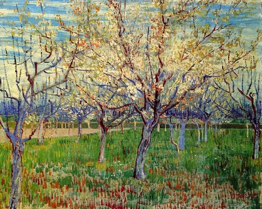 Artwork Title: Orchard with Blossoming Apricot Trees