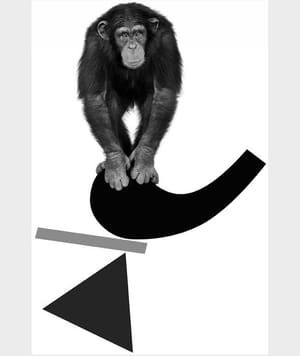 Artwork Title: Monkey on a Komma Point
