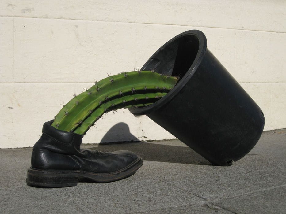 Artwork Title: Shoe, Cactus And Pot