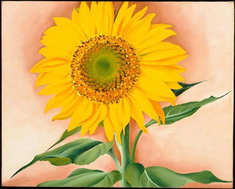 Artwork Title: A Sunflower from Maggie