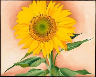 Artwork Title: A Sunflower from Maggie