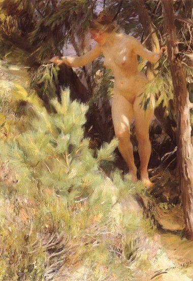 Artwork Title: Nude under a fir