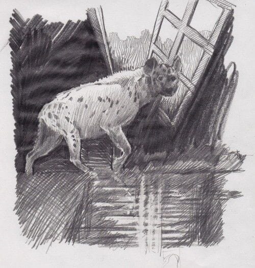 Artwork Title: undefined