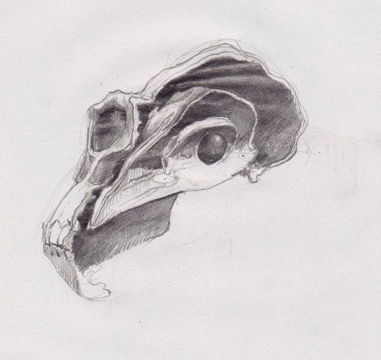 Artwork Title: undefined