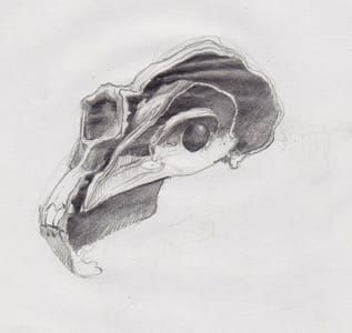 Artwork Title: Untitled