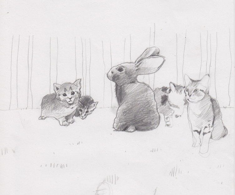 Artwork Title: undefined