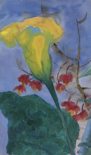 Artwork Title: Gelbe Kallalilien (Yellow Calla Lily)