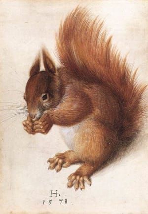 Artwork Title: Squirrel