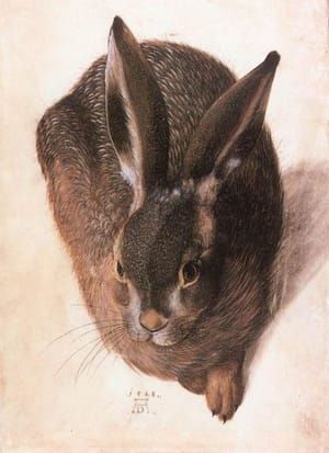Artwork Title: Hare