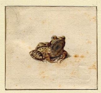 Artwork Title: Frog