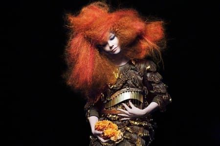 Artwork Title: Björk - Biophilia