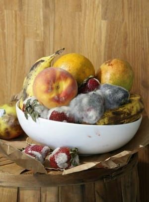 Artwork Title: Moldy Fruit Bowl
