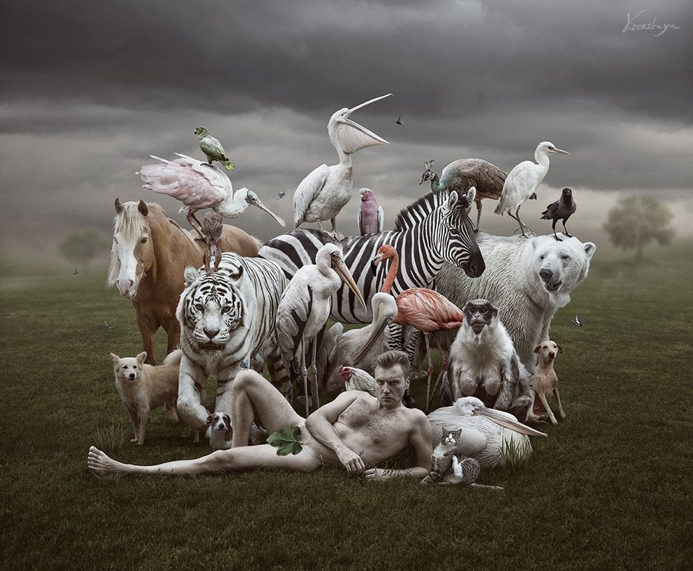 Artwork Title: undefined