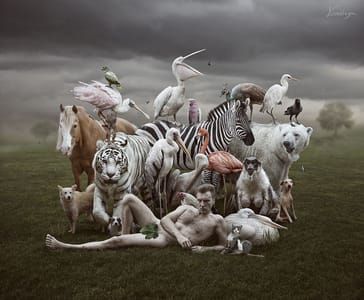 Artwork Title: Untitled