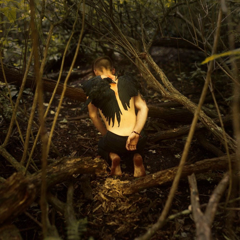 Artwork Title: In The Shadows That Lie Floating