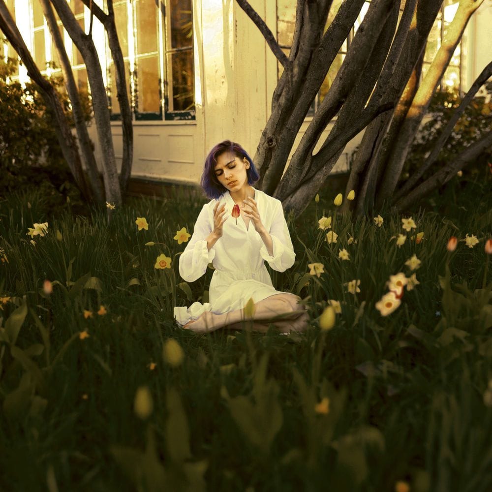 Artwork Title: The Severed Bud