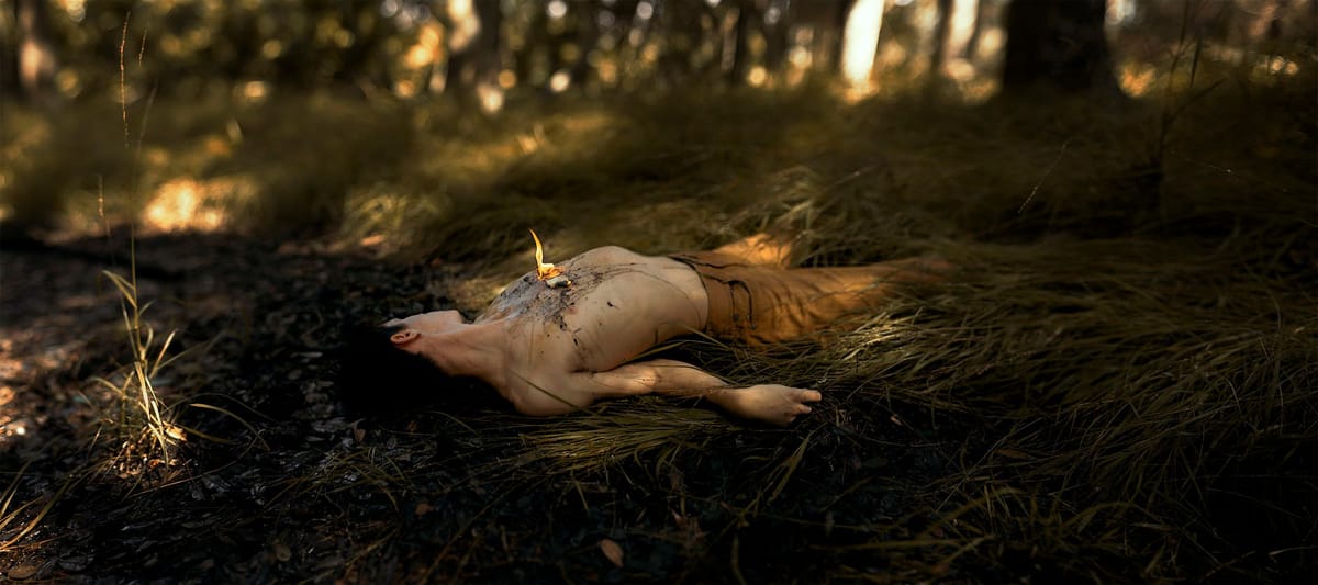 Artwork Title: The Ashen Heart