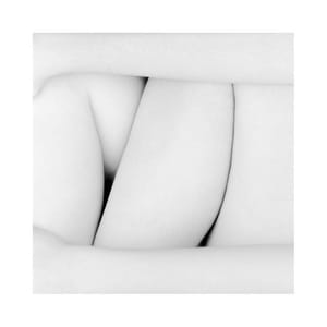 Artwork Title: Untitled