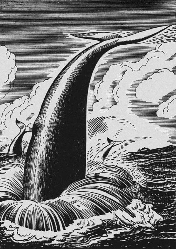 Artwork Title: illustration for Herman Melville’s Moby Dick,  1930
