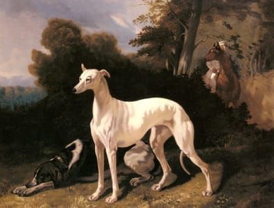 Artwork Title: A Greyhound in an Extensive Landscape