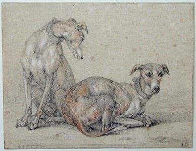 Artwork Title: Windhonden (Greyhounds)