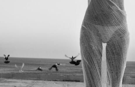 Artwork Title: Untitled