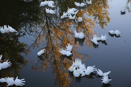 Artwork Title: ¿Saliendo a flote?