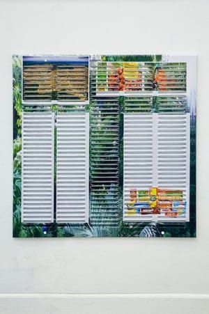 Artwork Title: Vent (Rainforest Palm Oil Production, Deforestation, Oreos, Ritz, Pringles)