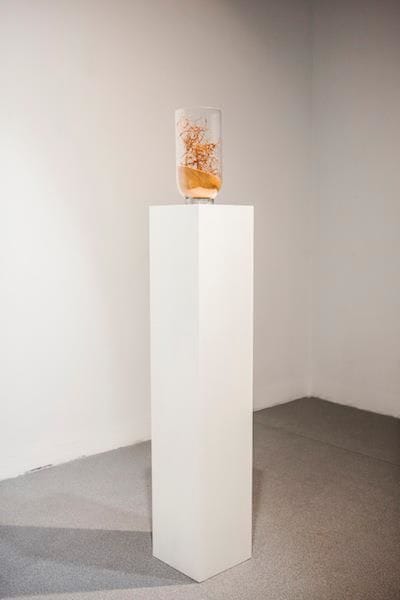 Artwork Title: undefined