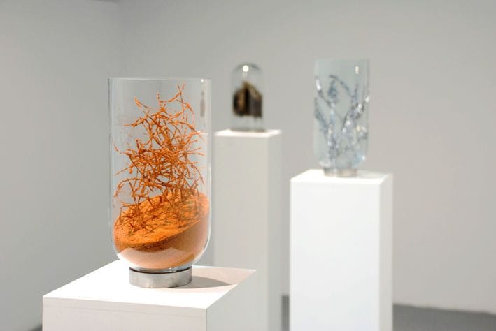 Artwork Title: undefined