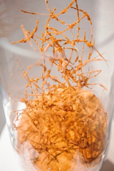 Artwork Title: undefined