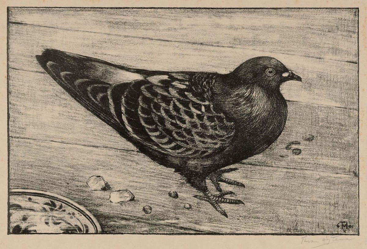 Artwork Title: Pigeon