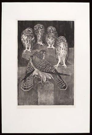 Artwork Title: Dierstudies (Animal Studies): Steenuil & Torenvalk (Screech Owls and Kestrel)