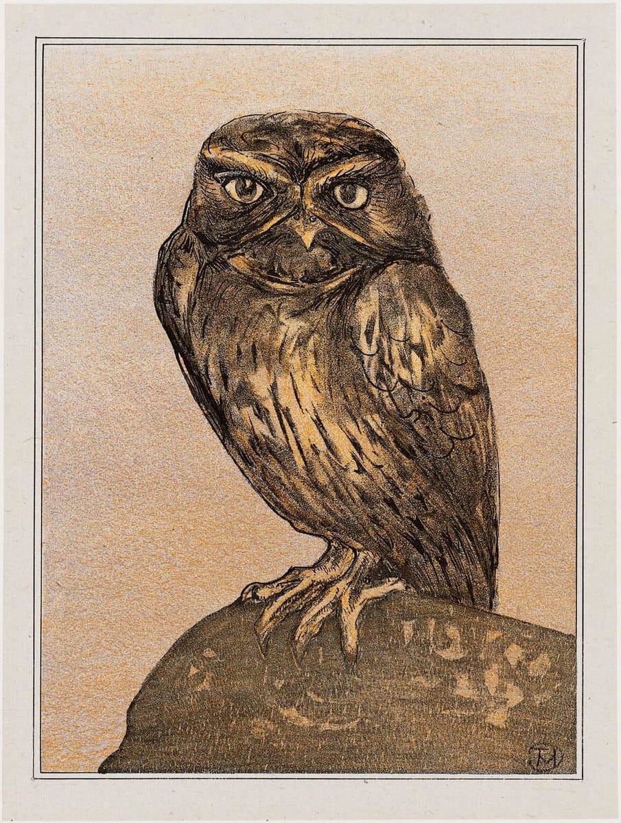 Artwork Title: Uil (Owl), (1908 Calendar: February)