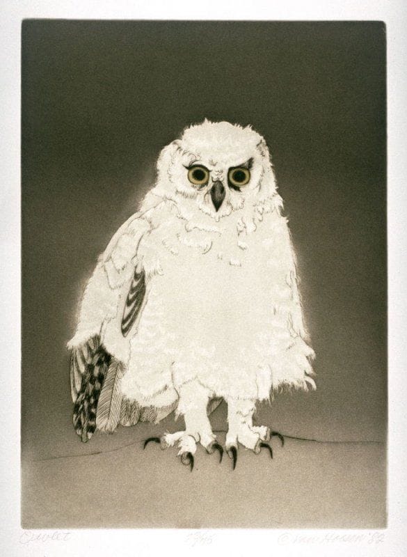 Artwork Title: Owlet