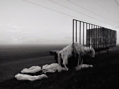 Artwork Title: Untitled